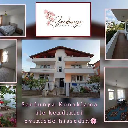 Sardunya *