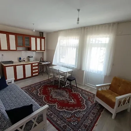 Sardunya Apartment
